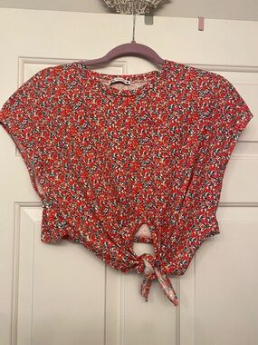 Zara Red Floral Tie-Front Crop Top